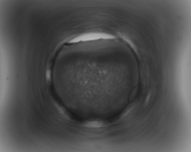 X0000085230067200703301734