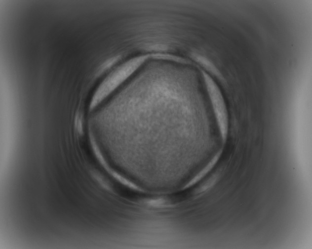 X0000085230068200703301734