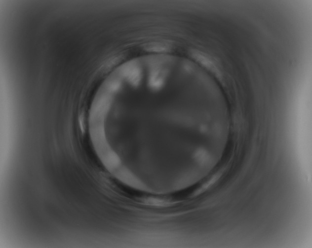 X0000085230069200703301734