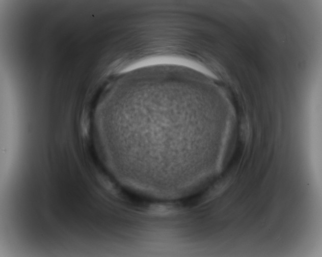 X0000085230072200703301735