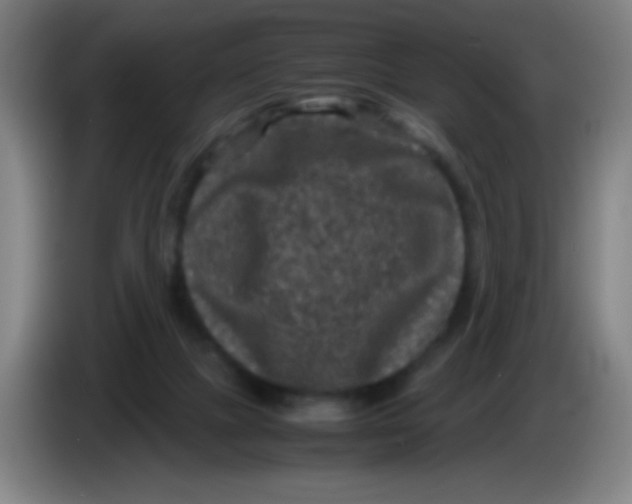 X0000085230073200703301735