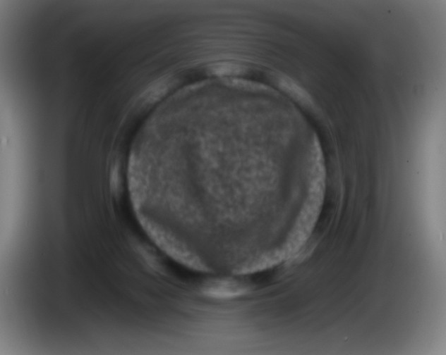 X0000085230074200703301735