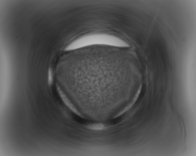 X0000085230075200703301735