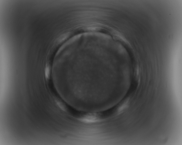 X0000085230076200703301735