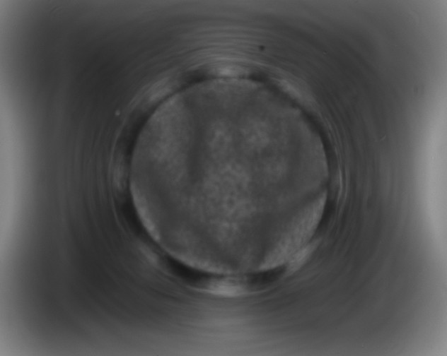 X0000085230078200703301735