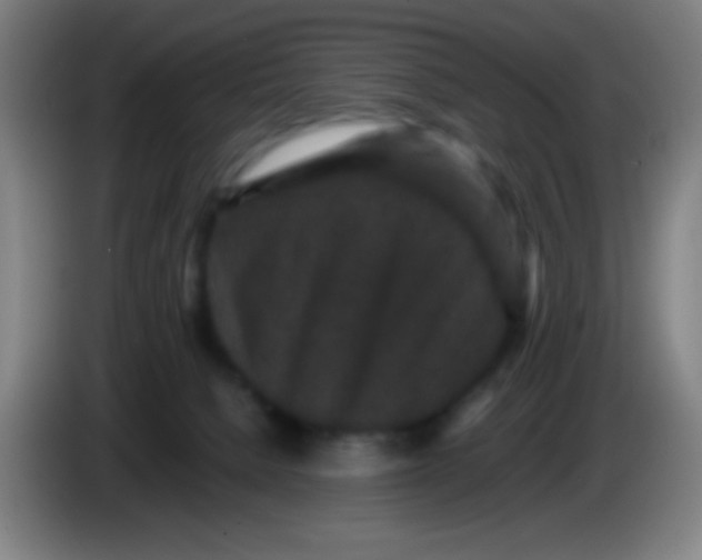 X0000085230080200703301735