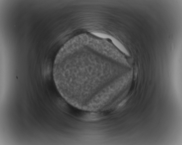 X0000085230082200703301735