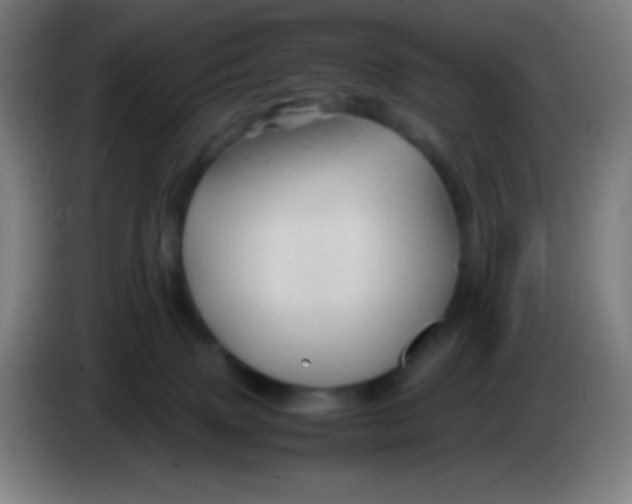 X0000085230083200703301735
