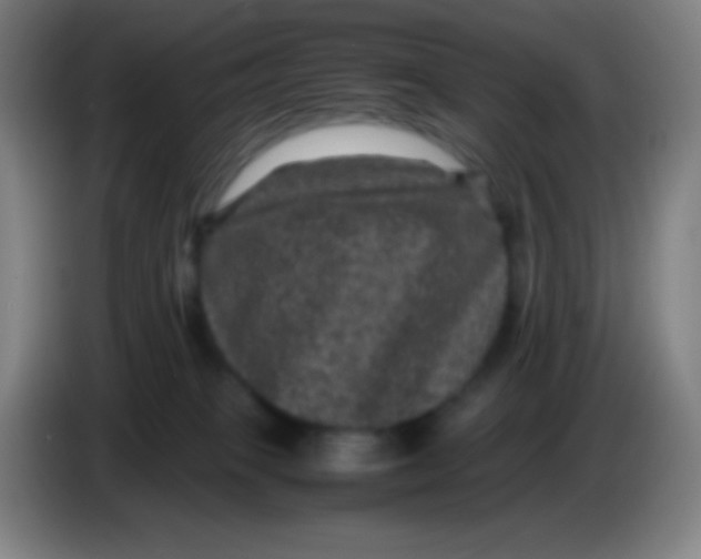 X0000085230085200703301735