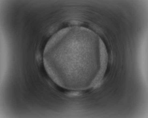 X0000085230086200703301735