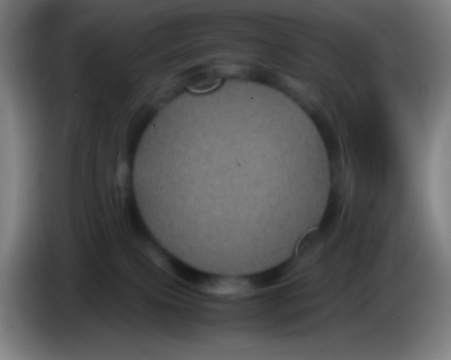 X0000085230087200703301735