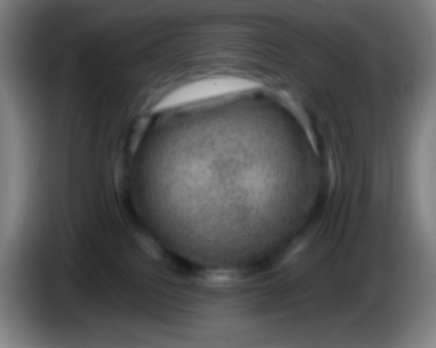 X0000085230088200703301735