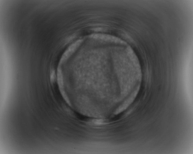 X0000085230089200703301735