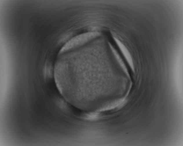 X0000085230090200703301735