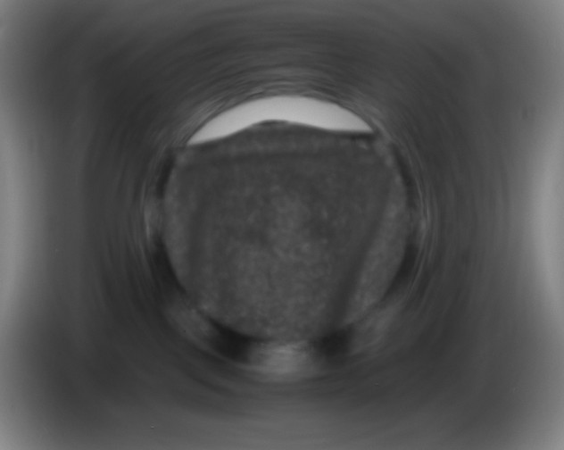 X0000085230093200703301735