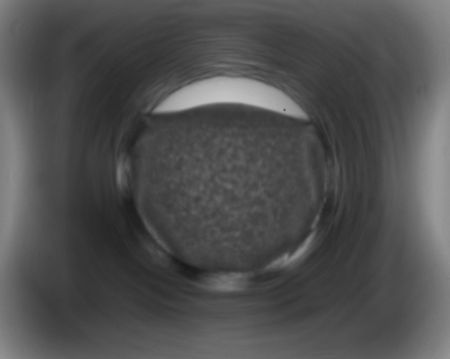 X0000085230094200703301735