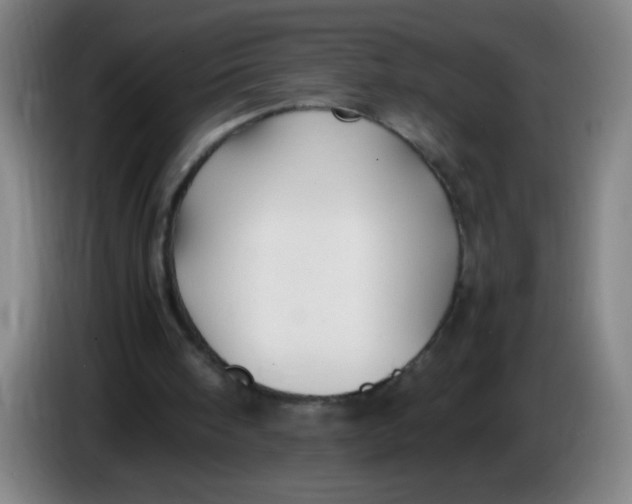 X0000085230098200703301734