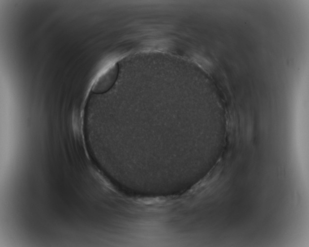 X0000085230100200703301734