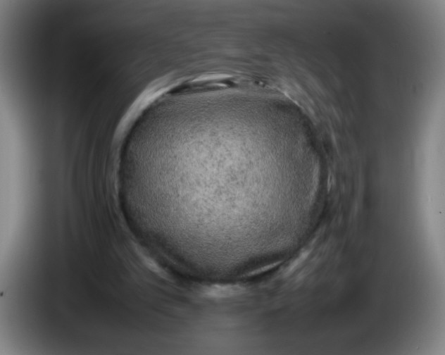 X0000085230101200703301734
