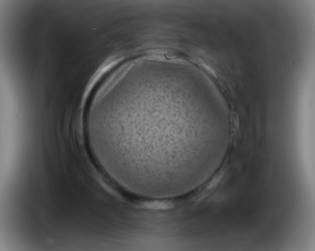 X0000085230102200703301734