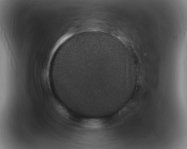 X0000085230104200703301734