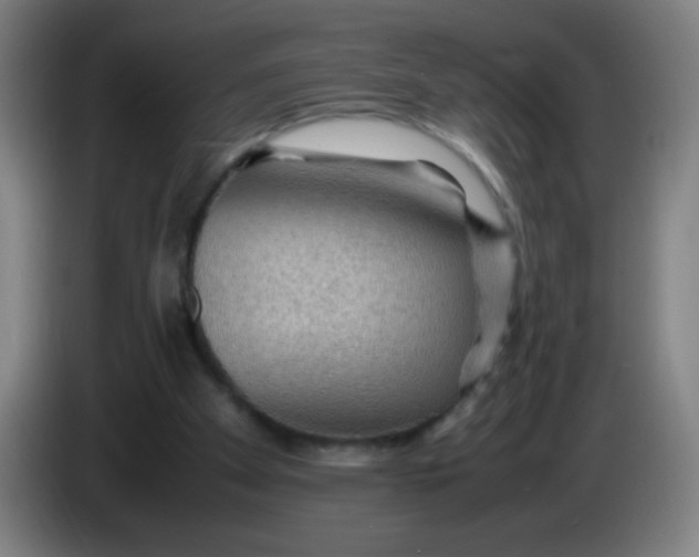 X0000085230105200703301734