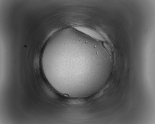 X0000085230106200703301734