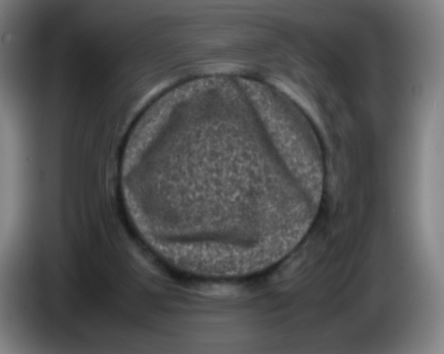 X0000085230107200703301734