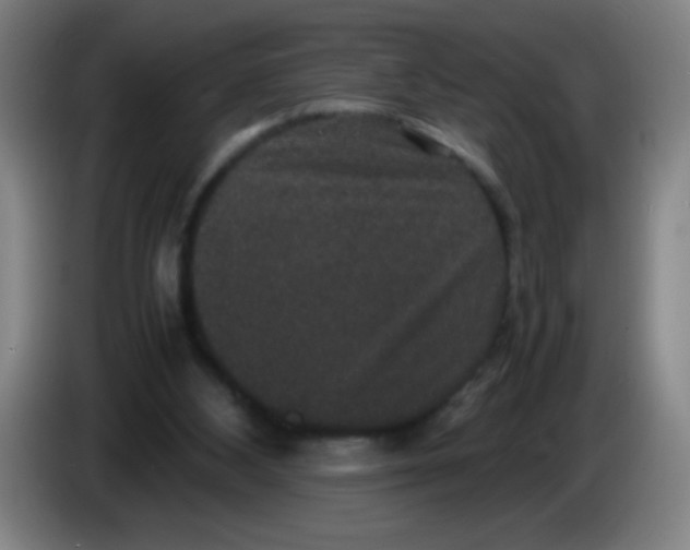 X0000085230108200703301734