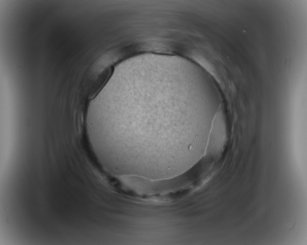 X0000085230109200703301734