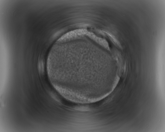 X0000085230110200703301734