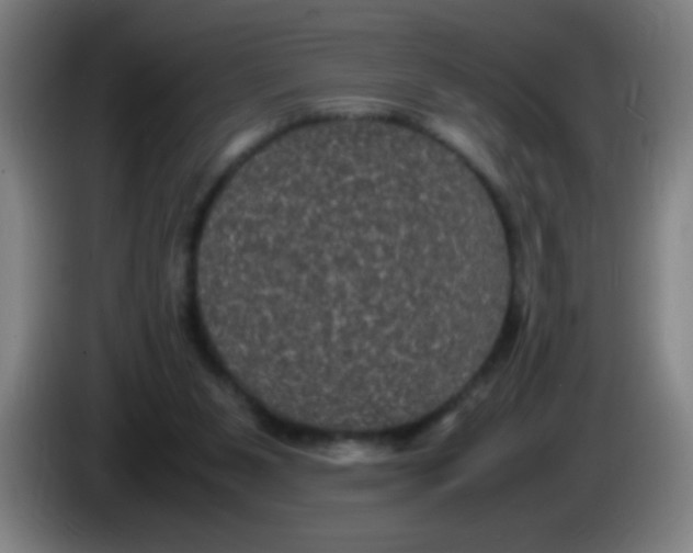 X0000085230111200703301734