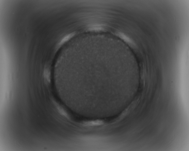 X0000085230112200703301734