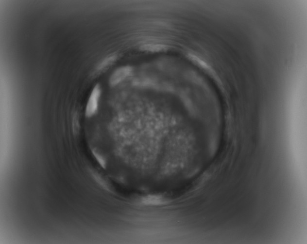 X0000085230114200703301734