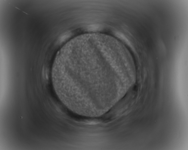 X0000085230115200703301734