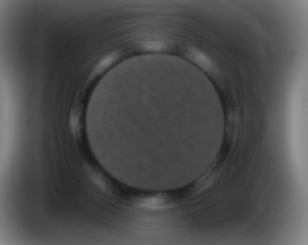 X0000085230116200703301734