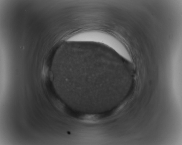 X0000085230117200703301734