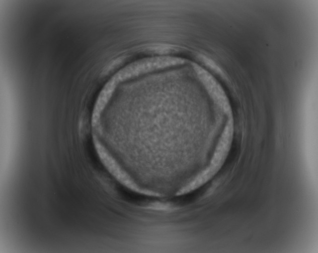X0000085230119200703301734