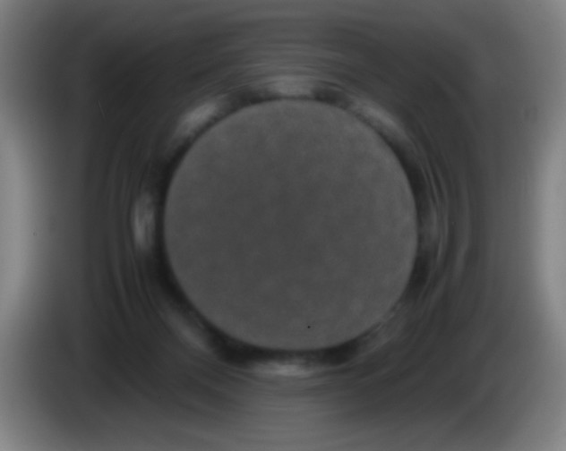 X0000085230120200703301734