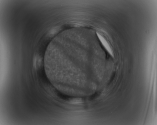 X0000085230123200703301734