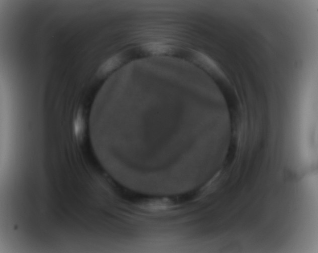 X0000085230124200703301734