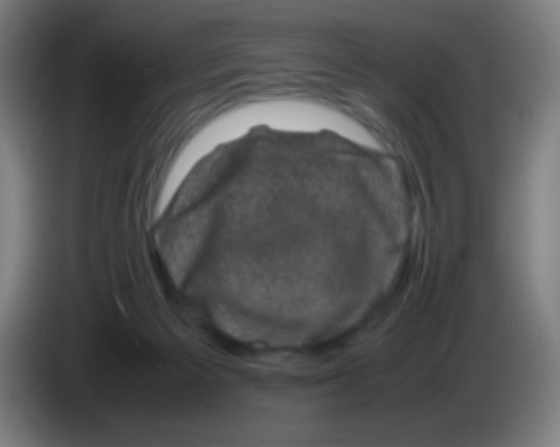 X0000085230125200703301734
