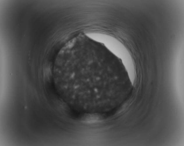 X0000085230127200703301734