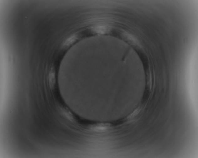 X0000085230128200703301734