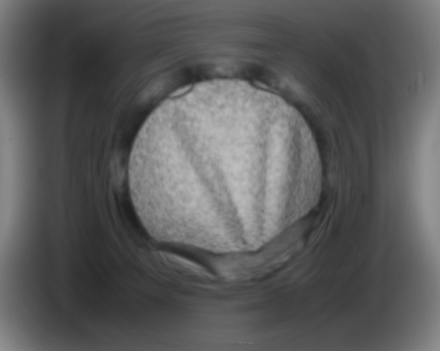 X0000085230129200703301734