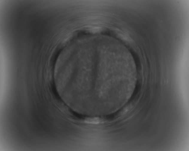 X0000085230131200703301734