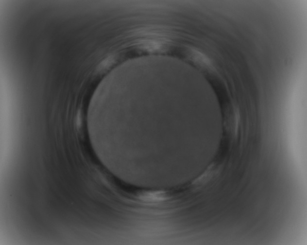 X0000085230132200703301734