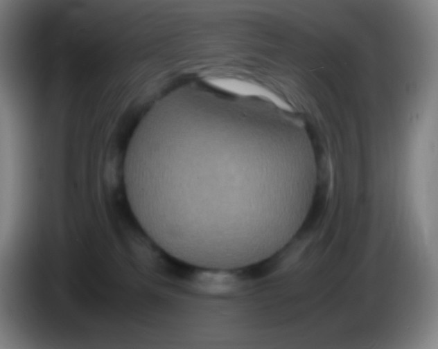 X0000085230133200703301734