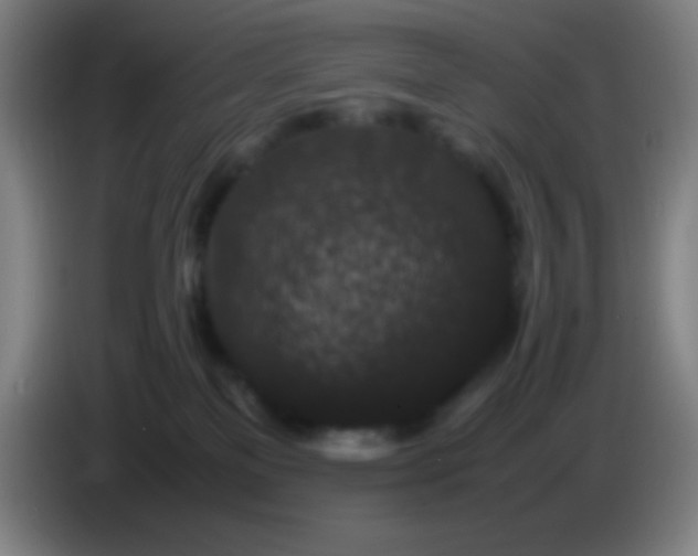 X0000085230137200703301734