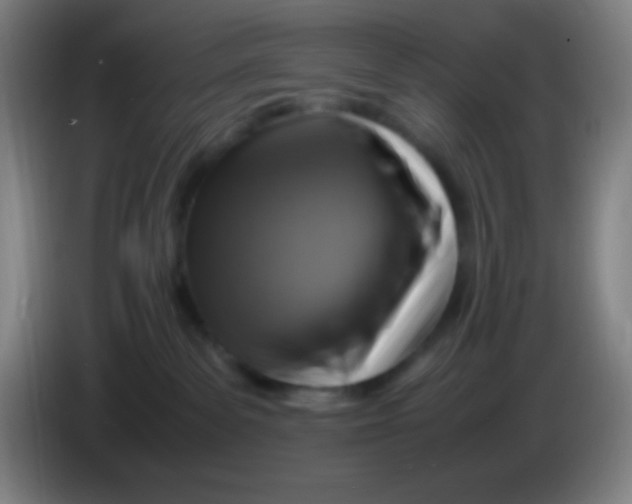 X0000085230139200703301734